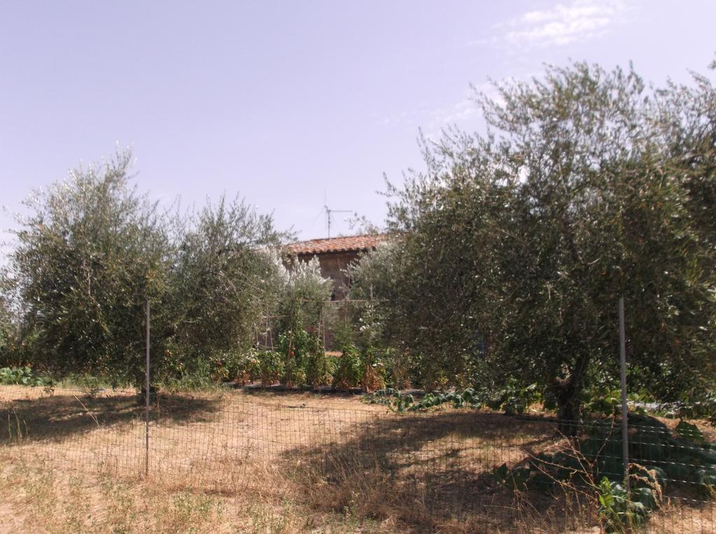 Locazione Turistica Ex Le Casette Di Cedromonte Panicale Exterior foto